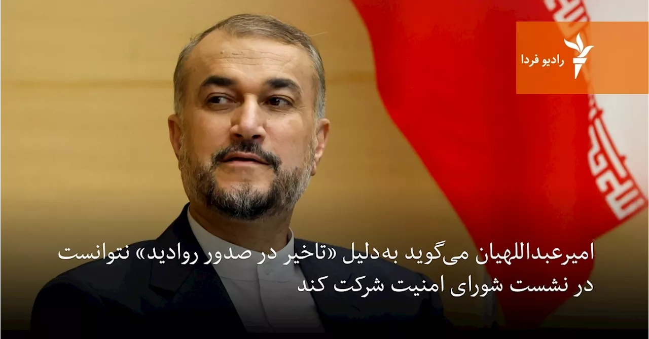 امیرعبداللهیان می‌گوید به‌دلیل «تاخیر در صدور روادید» نتوانست در نشست شورای امنیت شرکت کند