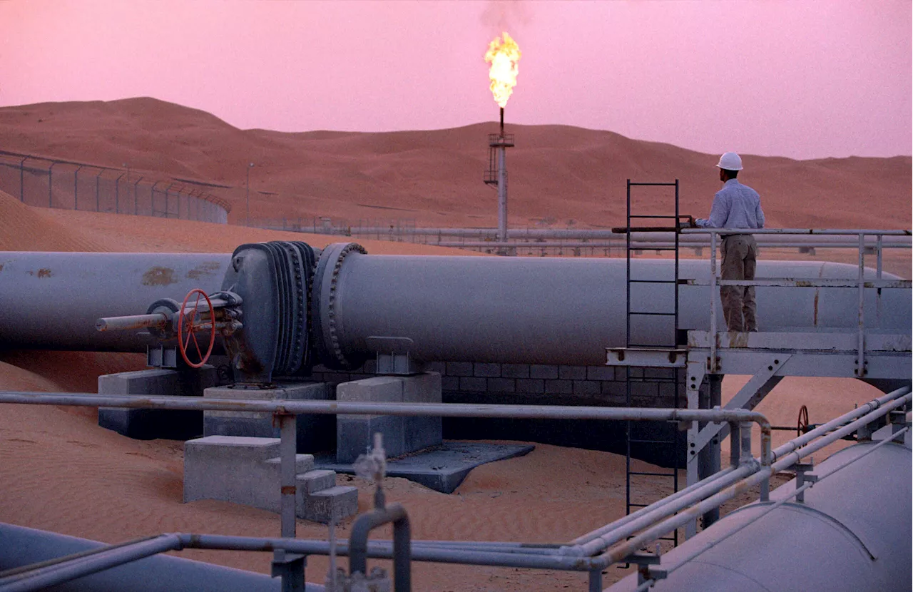 Saudi Arabia's Covert Plan to Make Countries Dependent on Fossil Fuels Revealed