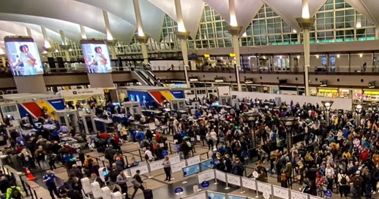 Denver airport temporarily grounds flights after person walks past TSA