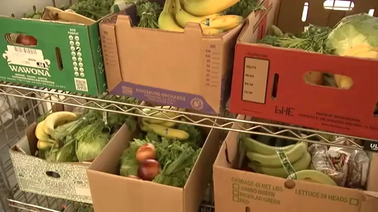 Local vegan food bank helps tackle food insecurity one fruit, one veggie at a time