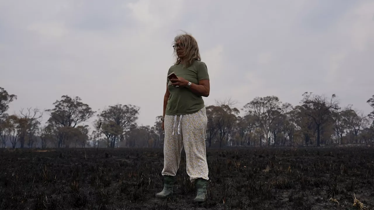 Del Mitchell saved her prize-winning cattle from the bushfires near Dalveen