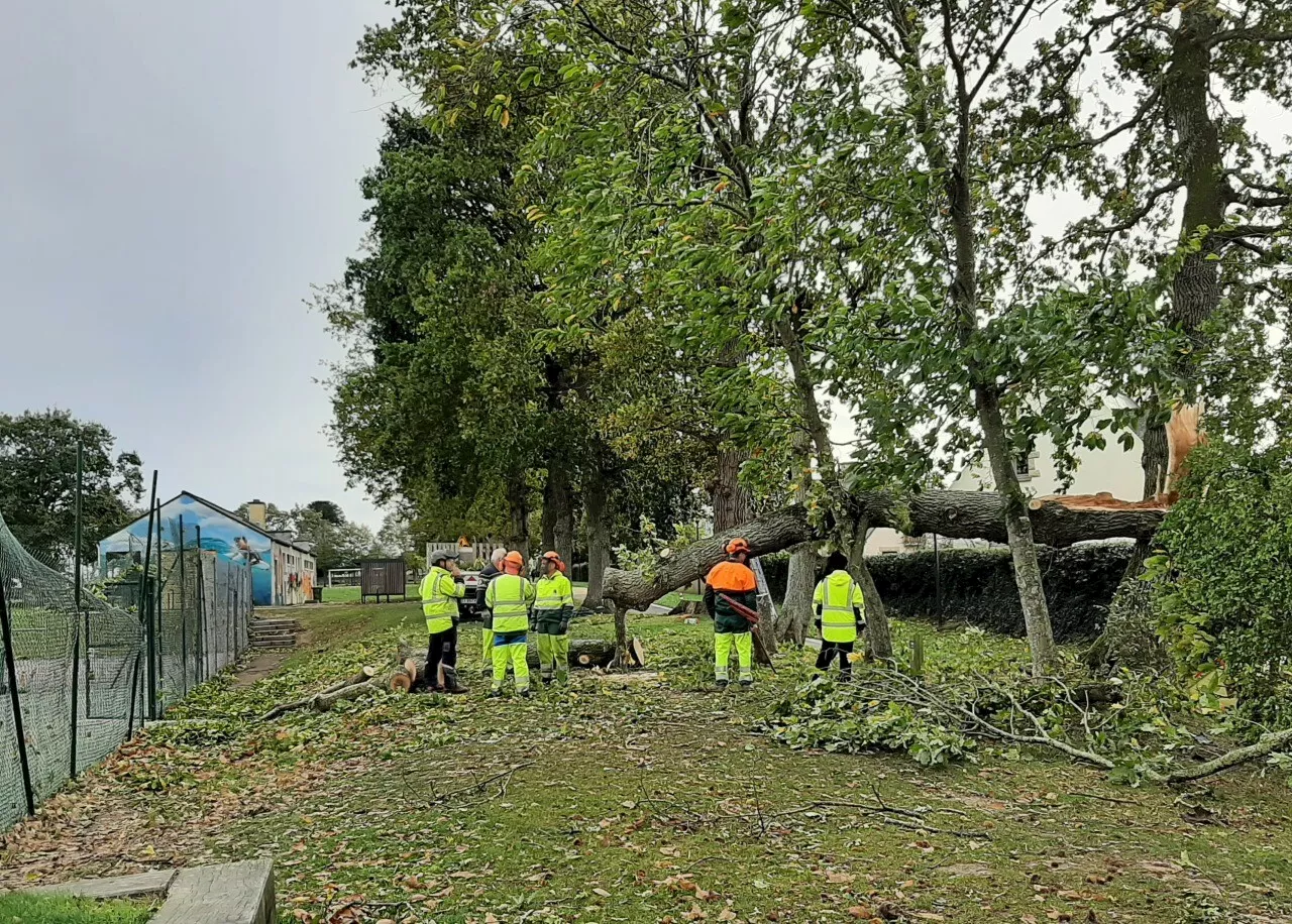 A Dinan, des rues et jardins restent fermés après la tempête Ciaran