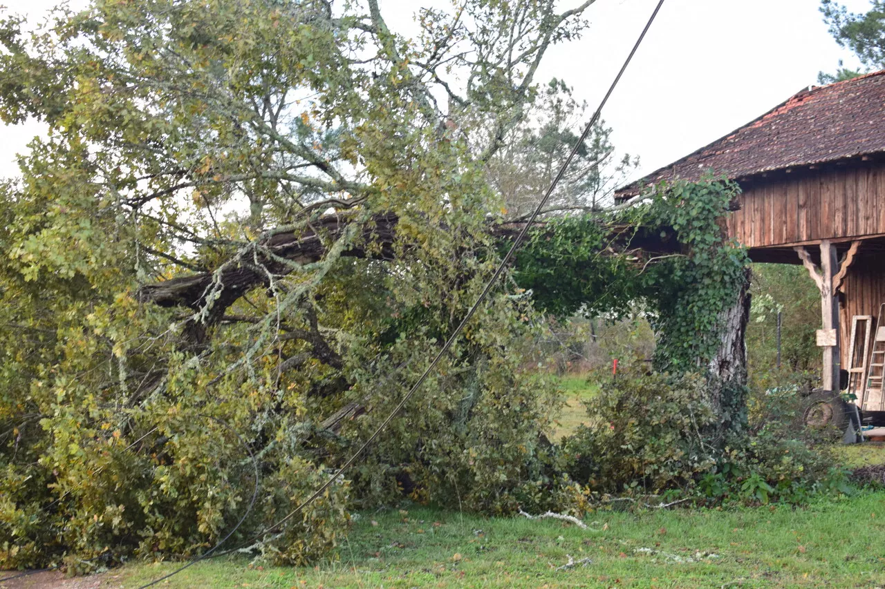 Intempéries : 3500 foyers sans électricité, vigilance jaune, le point dans les Landes