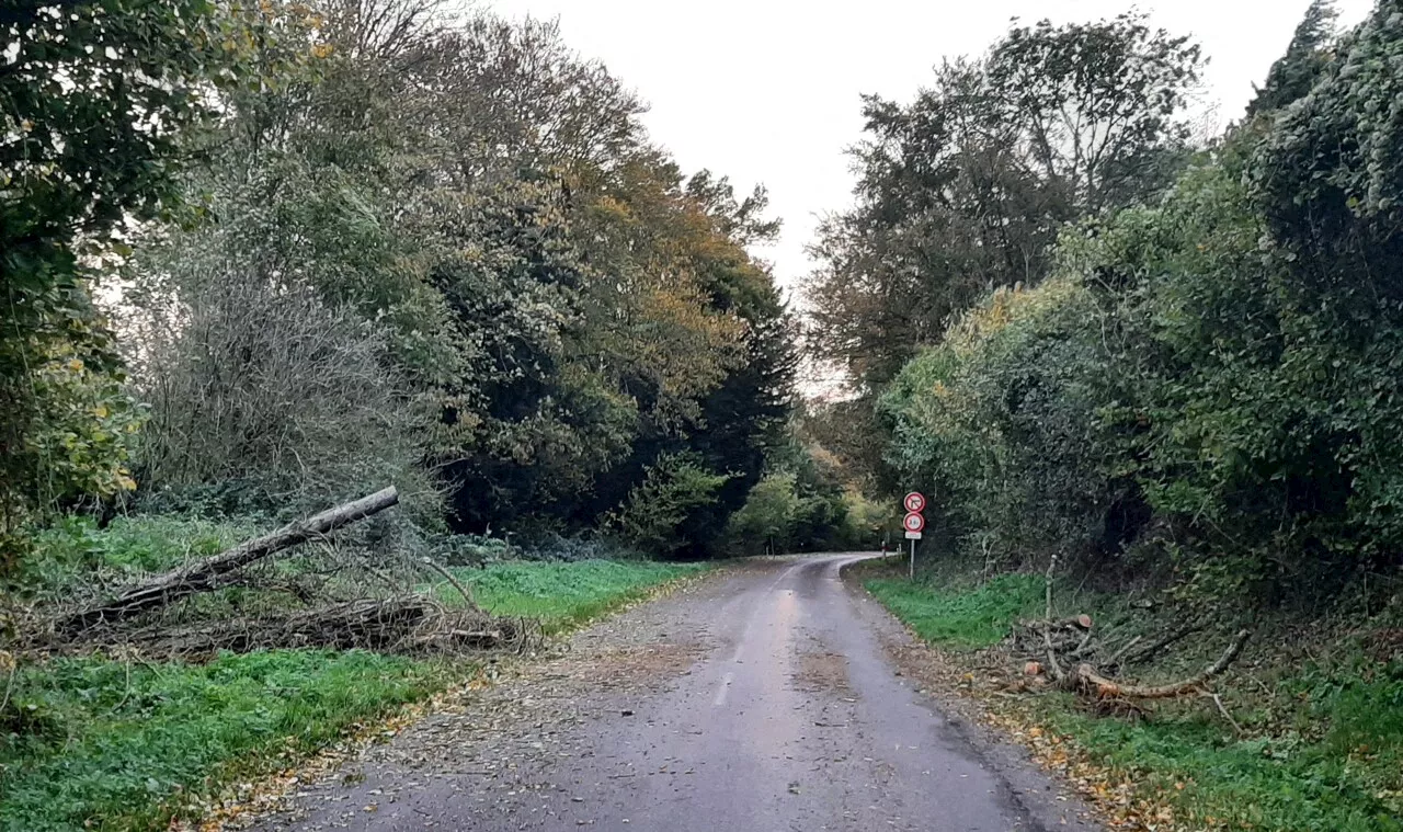 Tempête Ciaran : La préfecture interdit l'accès aux forêts des Côtes-d'Armor