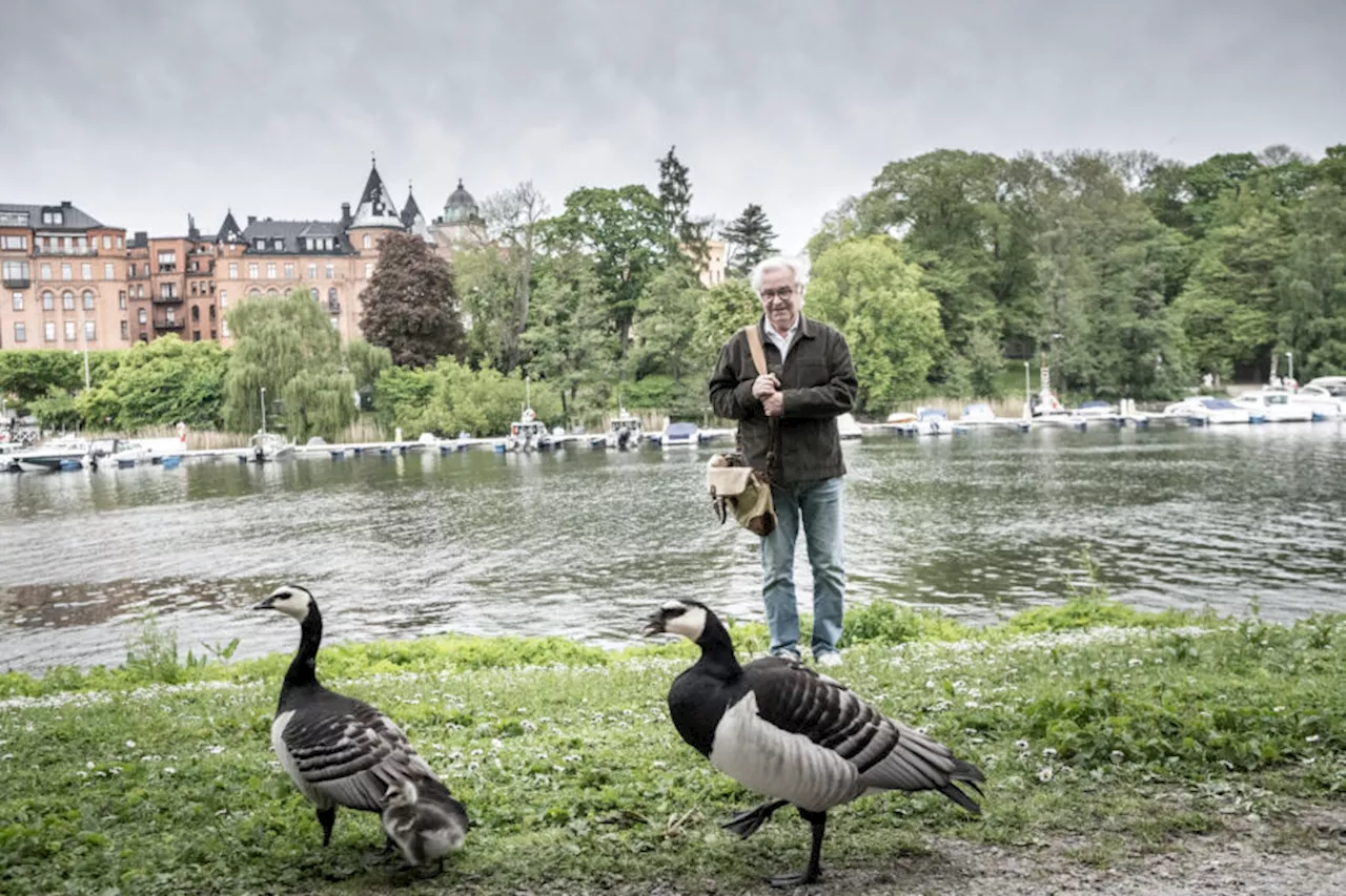 Creades substansvärde minskade i oktober