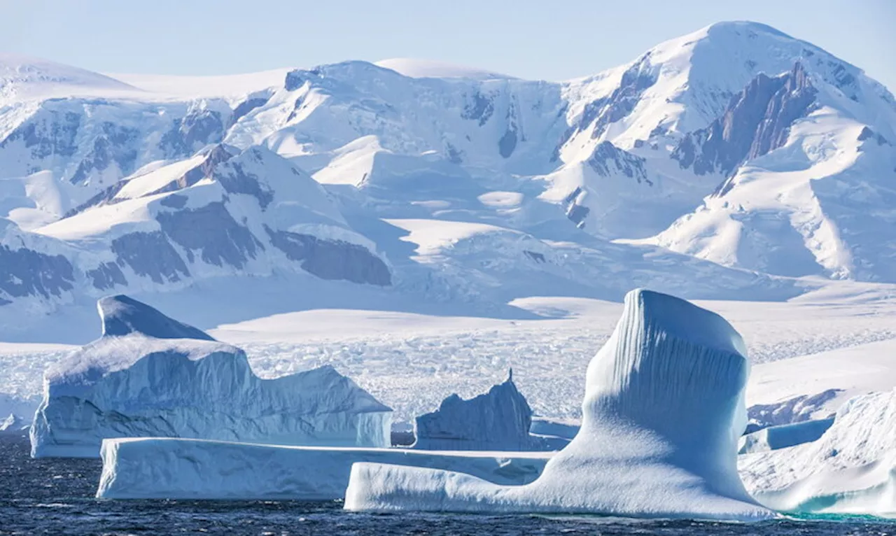 Le foche hanno svelato agli scienziati un canyon antartico sconosciuto