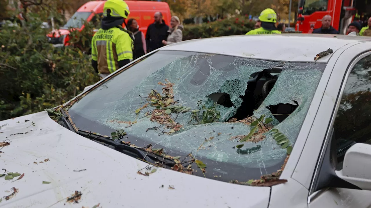 Storm Ciarán sweeps into Italy with record rainfall, killing 3 and bringing toll to 10