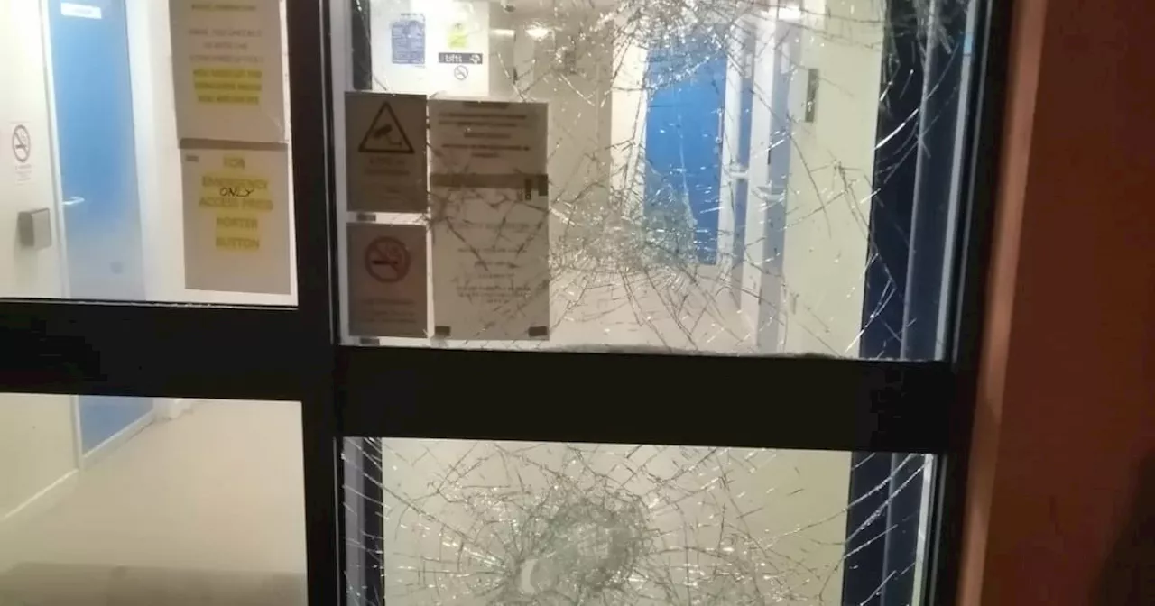 Windows and doors smashed during attack on tower block in Belfast