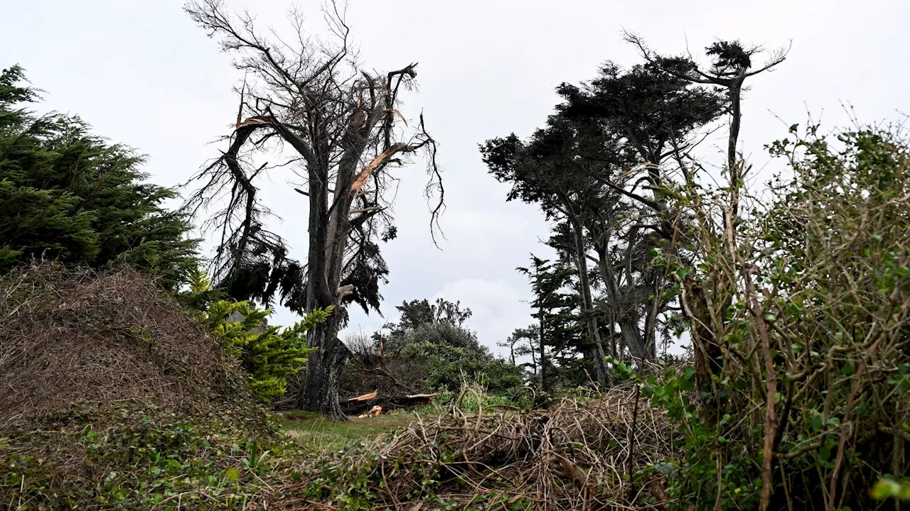 Après la tempête Ciaran, Domingos va toucher la France samedi: que réserve cette nouvelle dépression?