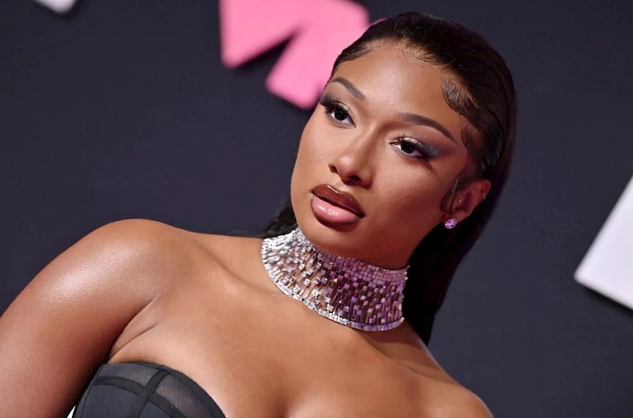 Fans Think Megan Thee Stallion's 'Cobra' Calls Out A Cheating Ex