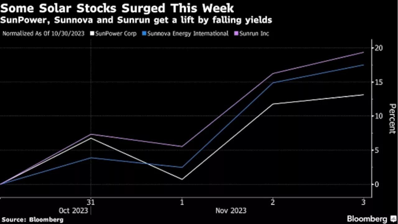 Solar Stocks Bounce Even as Earnings Disappointments Pile Up