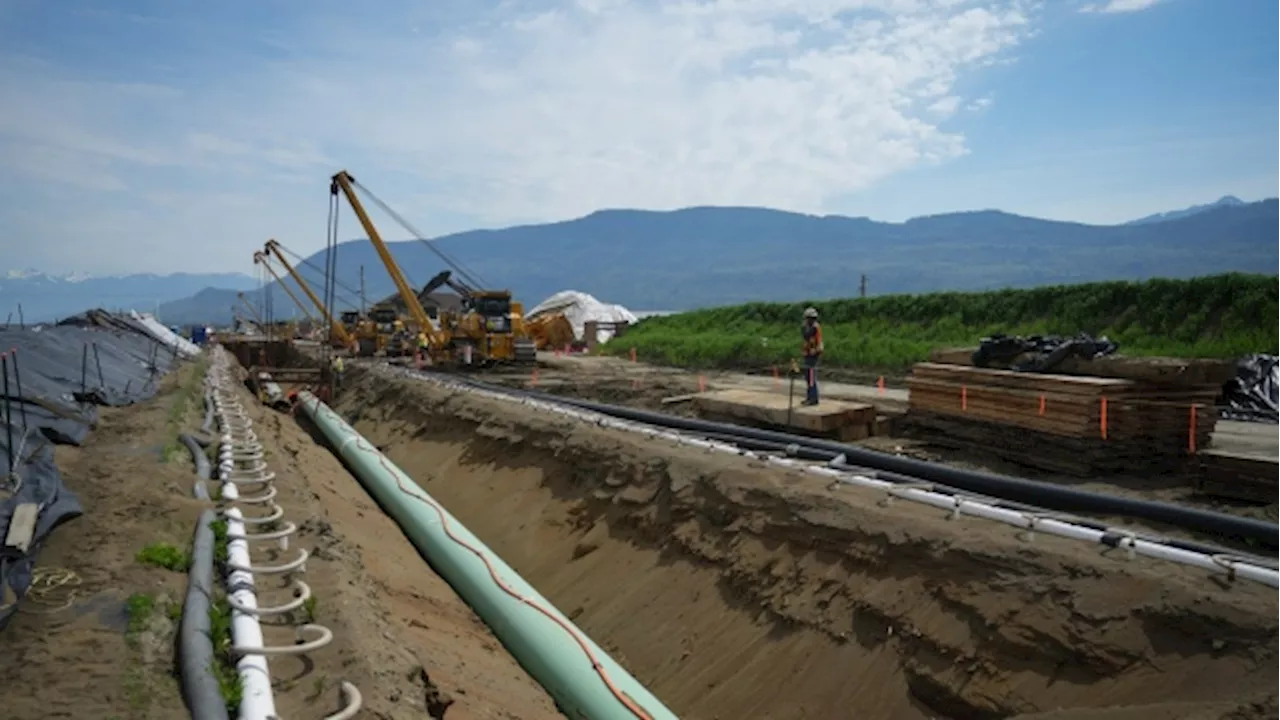 Trans Mountain Corp. issued stop-work order for environmental non-compliance