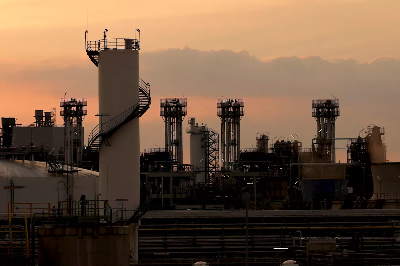 Kronberger Kreis zerpflückt Habecks Industriestrategie