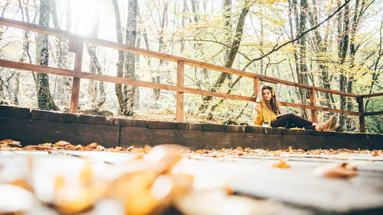 Herbstfehler: 6 Dinge, die dir deinen Herbst vermiesen können