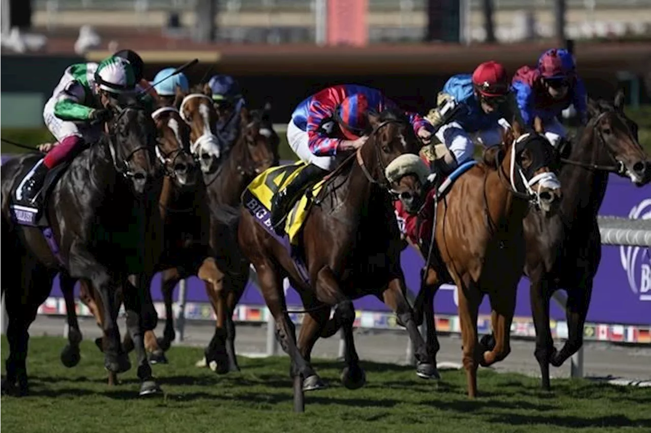 16-1 shot Fierceness wins Breeders' Cup Juvenile for trainer Todd Pletcher