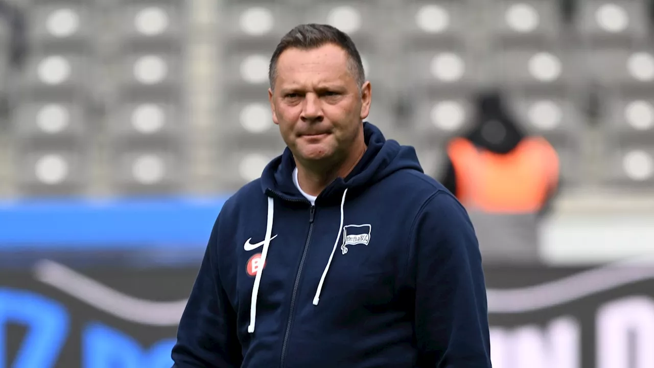 Hertha-Trainer Dardai: „Müssen das jetzt bestätigen“