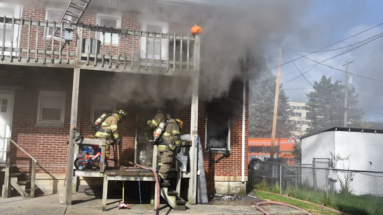 Apartment fire that killed 3 pets in Mifflin Co. had no working smoke detectors