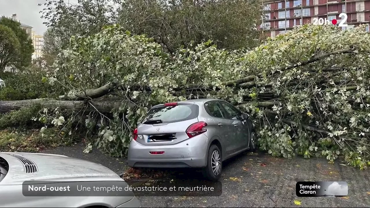 Tempête Domingos : sera-t-elle aussi puissante que la tempête Ciaran ?