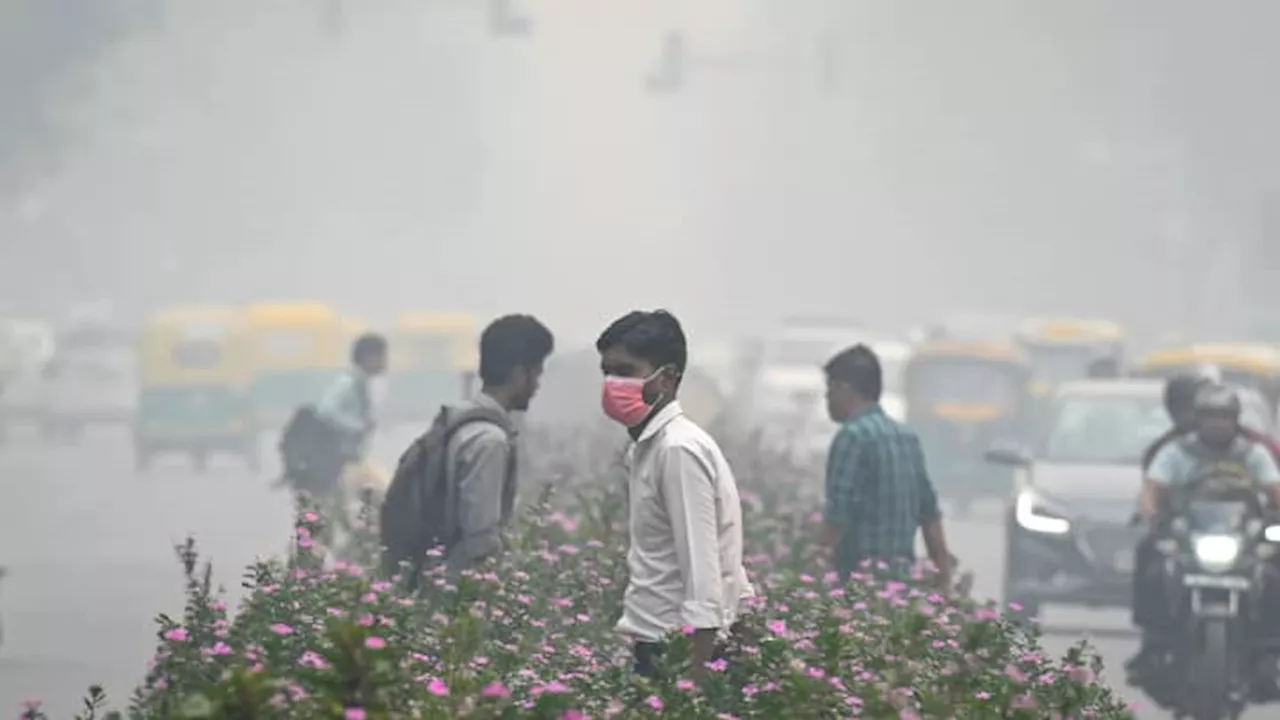 Air pollution in India's New Delhi turns 'severe,' some schools shut