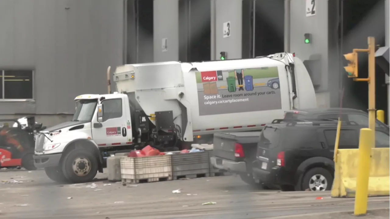 Rat infestations at Calgary recycling facilities were discovered nearly 2 years ago