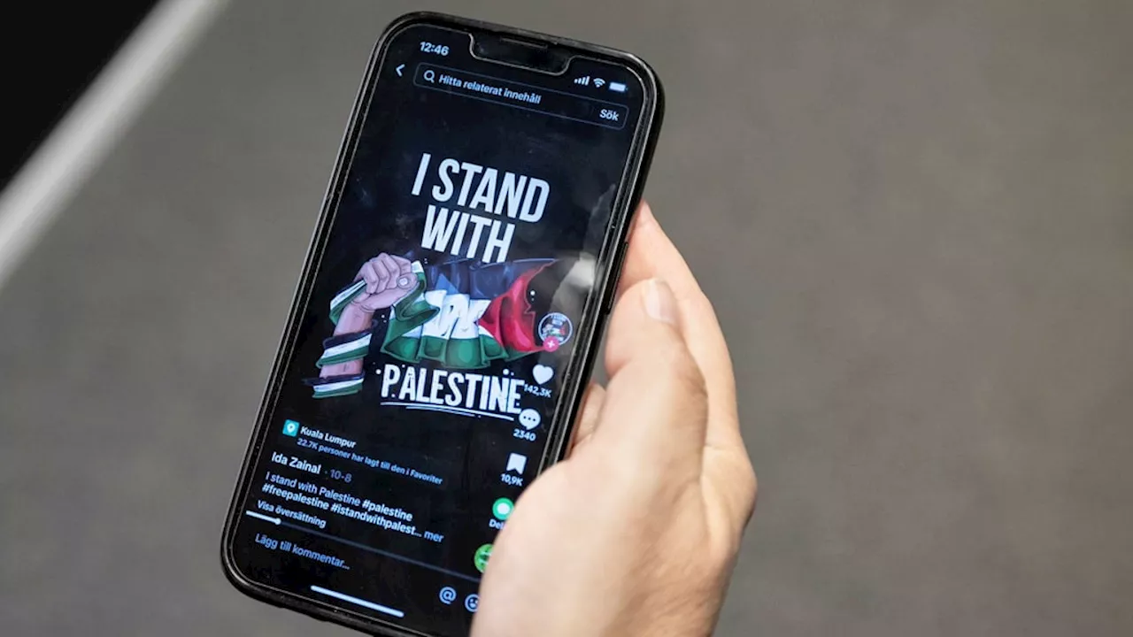 Pro-palestinska budskap ses av fler på svenska Tiktok