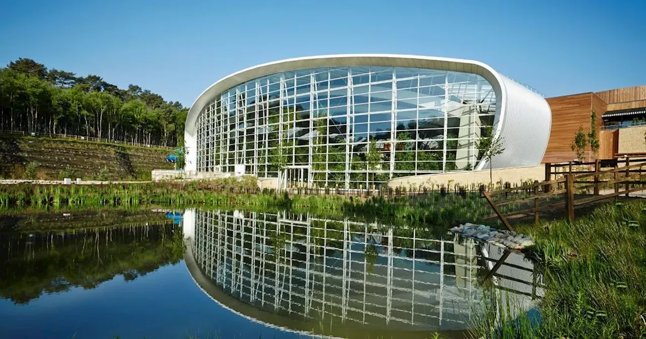 Teenage boy dies at Center Parcs after falling from skateboard