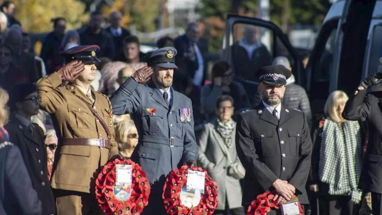 Labour-run council is slammed for cancelling its Remembrance Day parade over 'health and safety...