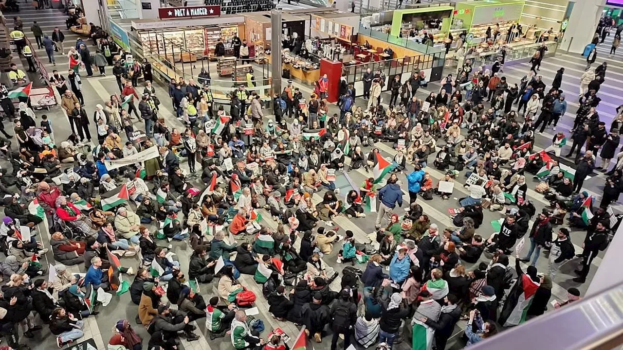 Now Birmingham New Street station is invaded by pro-Palestinian supporters for disruptive sit-down...