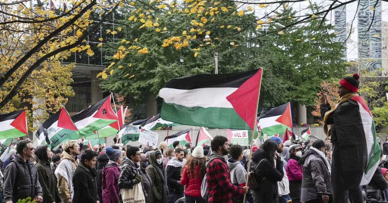 Largest US Palestinian solidarity march to take place in DC on Saturday