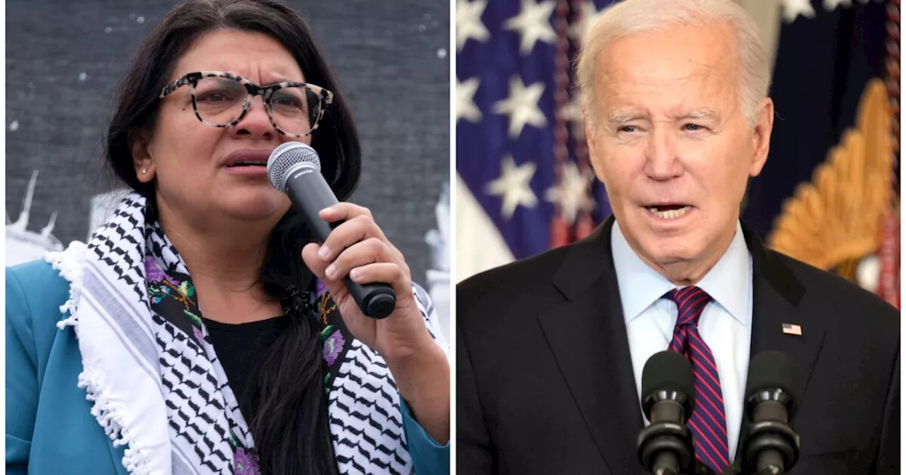 Rashida Tlaib accuses Biden of 'cheering on' Netanyahu's 'ethnic cleansing' in latest remarks