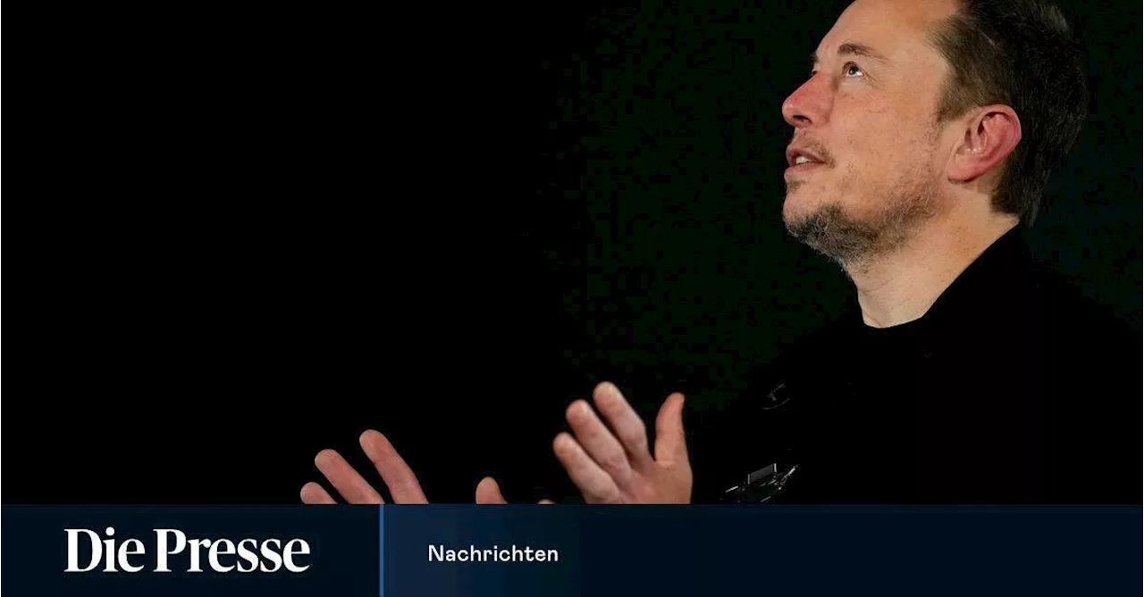 Elon Musks KI-Start-up will erstes Programm veröffentlichen