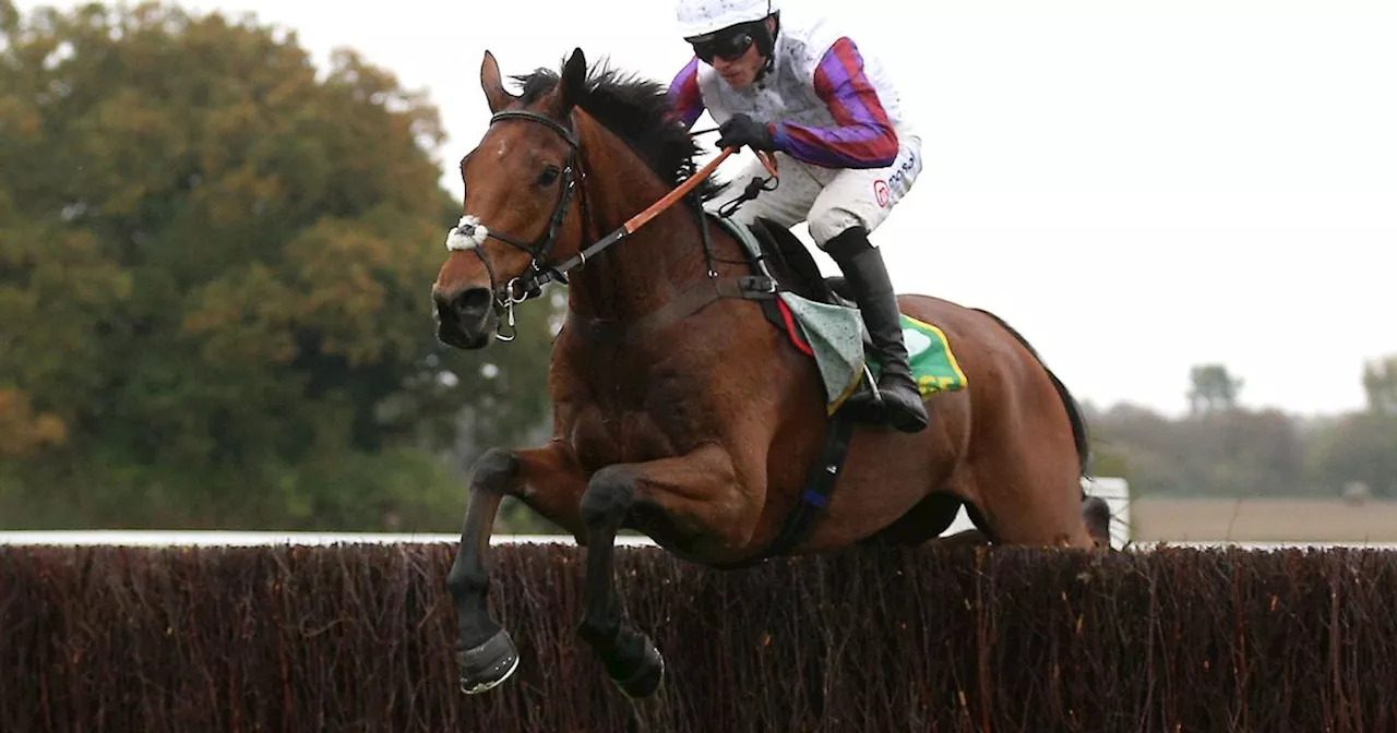 Horse Power: Bravemansgame to win the Charlie Hall Chase again at Wetherby