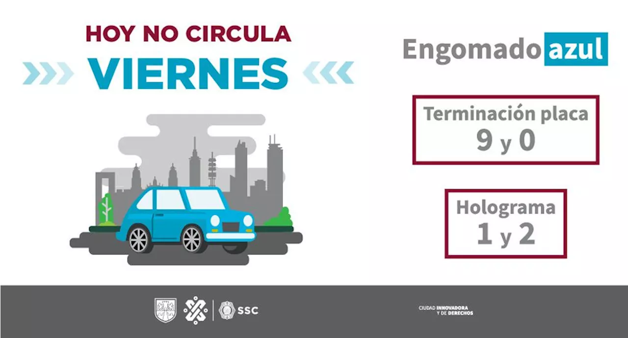 ¿Qué autos no circulan este viernes 3 de noviembre 2023?