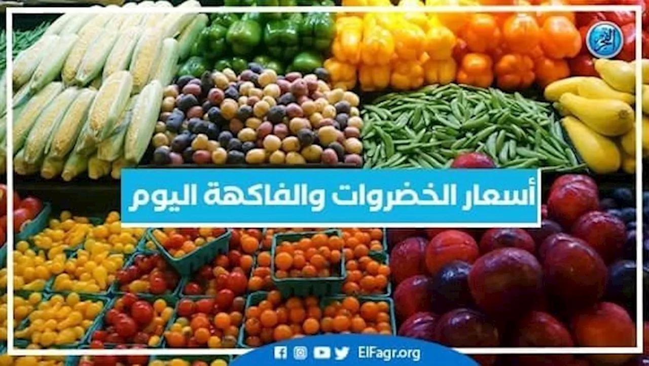 أسعار الفاكهة اليوم الجمعة 3-11-2023 في الدقهلية