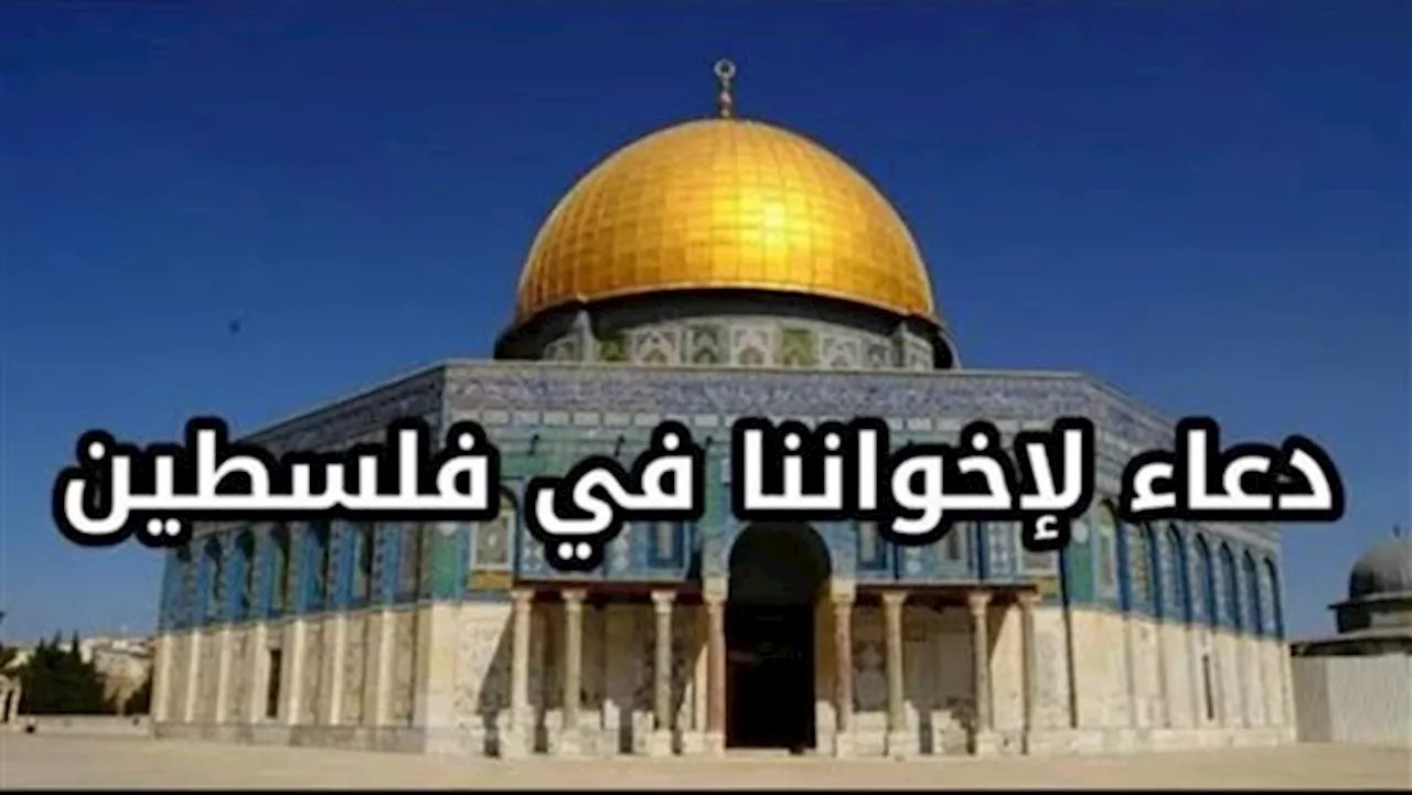 اللهم أنزل سكينتك على عبادك المستضعفين في غزة.. دعاء لأهل فلسطين