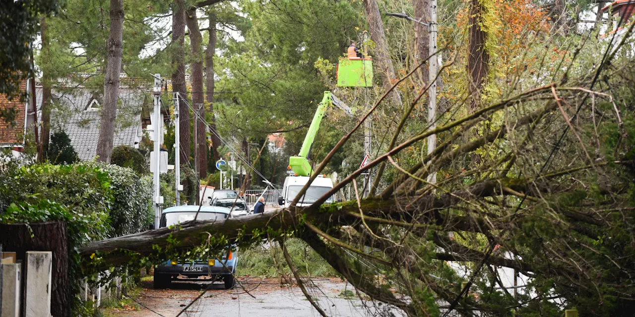 Après Ciaran, la tempête Domingos va toucher la France : à quoi faut-il s’attendre ?