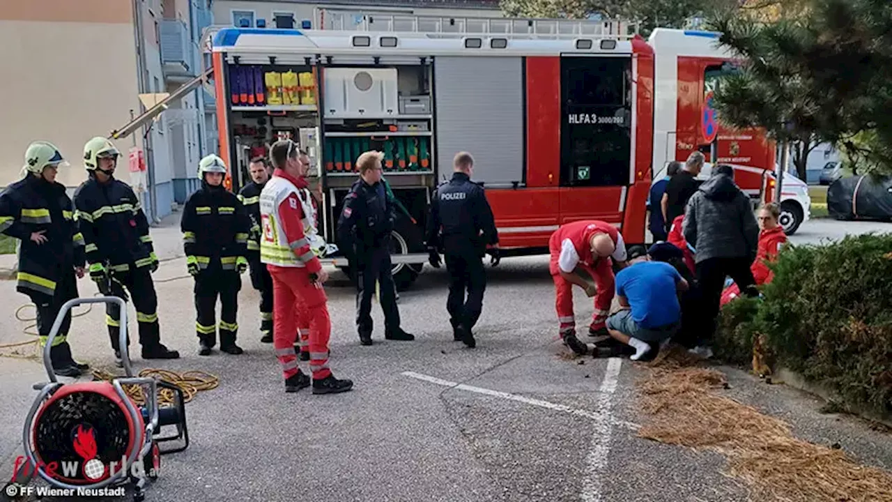 Nö: Familie bei CO Austritt in Wiener Neustadt verletzt → Feuerwehr rettet 17-jährigen Bewusstlosen