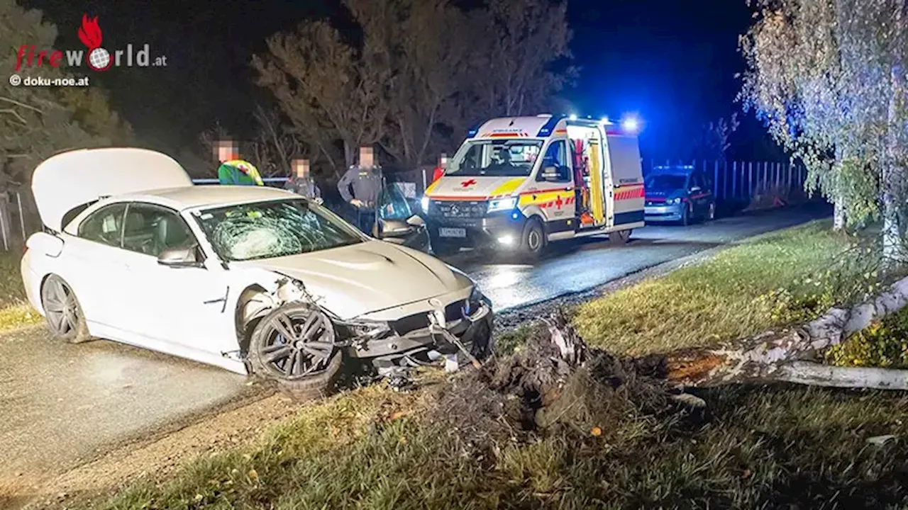 Nö: Pkw fällt in Gedersdorf einen Baum → ein Verletzter