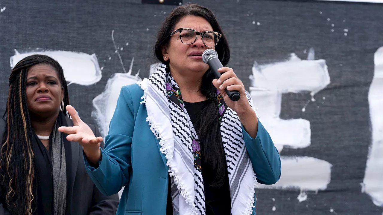 Tlaib accuses Biden of supporting ‘genocide’ of Palestinians, warns: ‘We will remember in 2024’