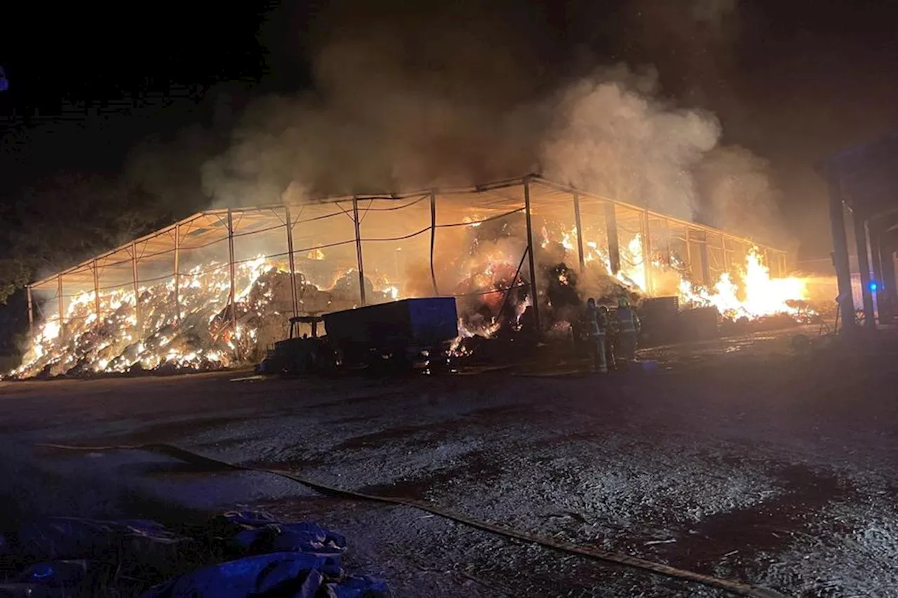 1000 poules pondeuses sauvées d'un feu par les pompiers de l'Ain