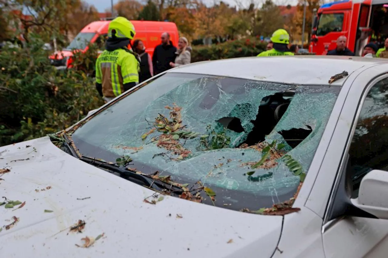 Death toll rises in Europe as Storm Ciaran arrives in Italy with record rainfall