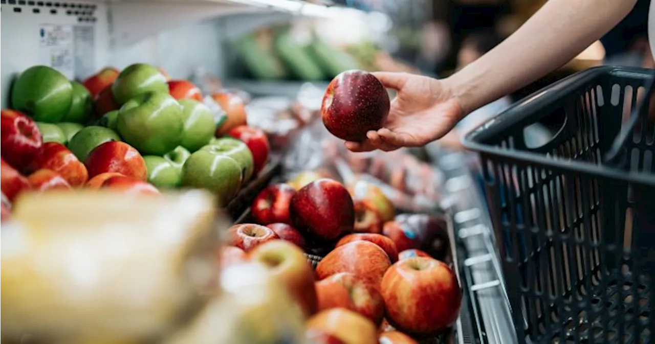 Canada pouring $35.5 million into Canadian Foodgrains Bank new food security program