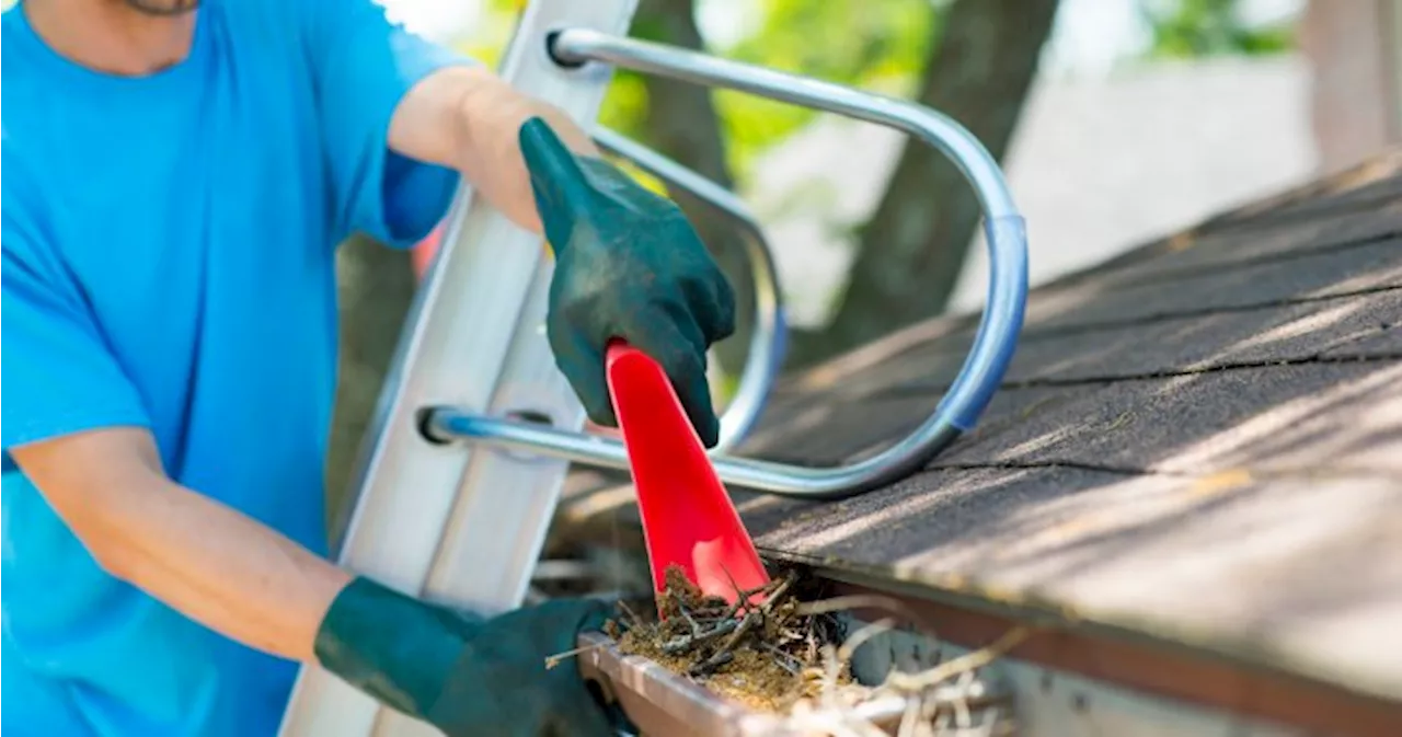 DIY gutter cleaning: A step-by-step comprehensive guide to get the job done