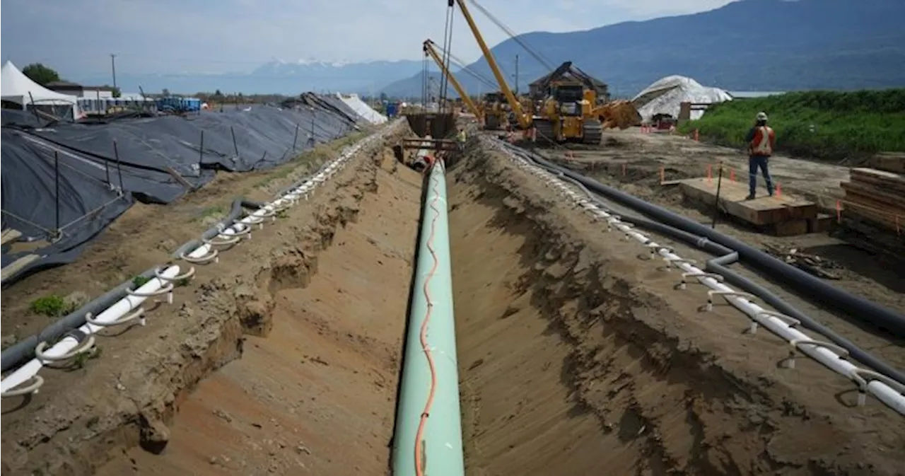 Pembina Pipeline CEO needs certainty on Trans Mountain before considering an offer