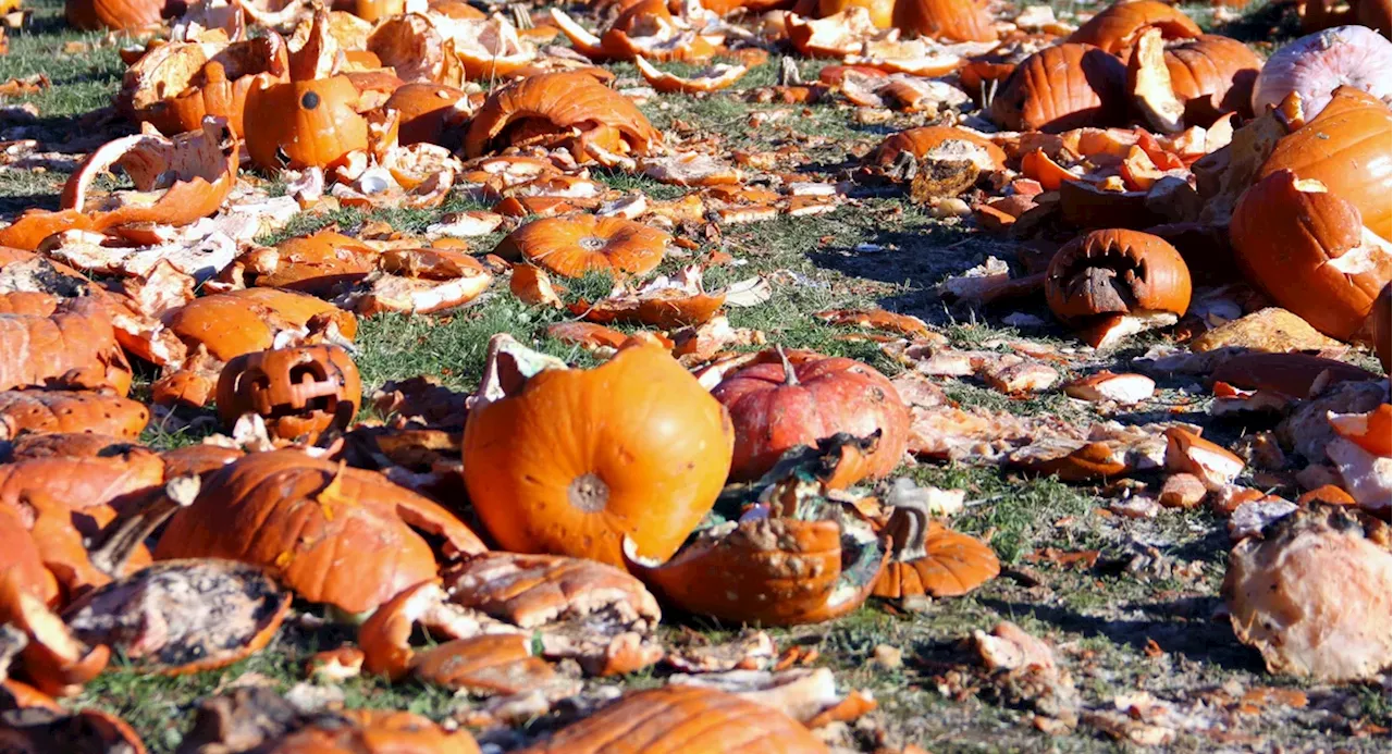 Extra Extra: It's time to smash your Halloween pumpkin