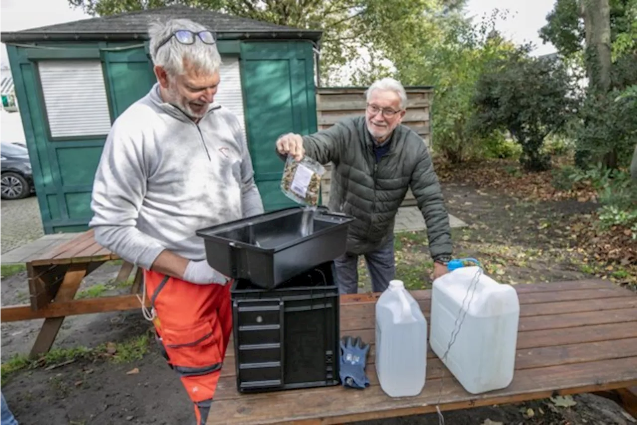 Lier zet nog meer slimme rattenvallen in