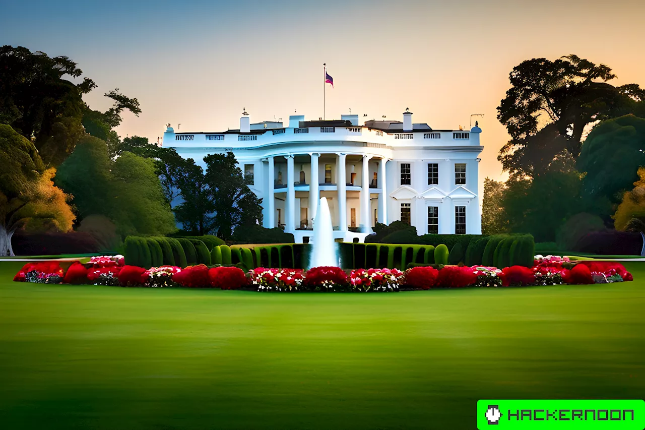 How the US Government Plans to Ensure the Safety and Security of AI Technology
