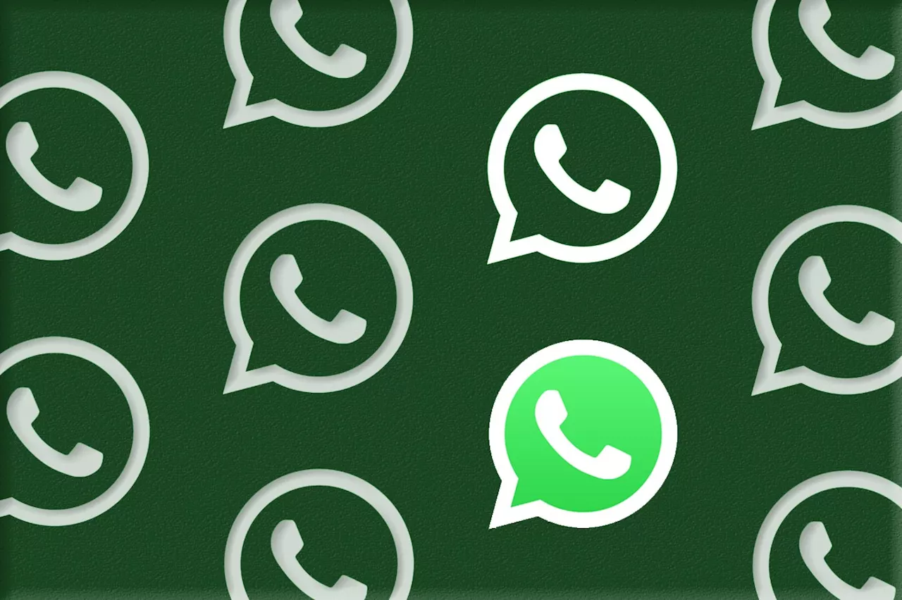 Entretenez votre e-réputation grâce à cette nouvelle fonctionnalité de WhatsApp