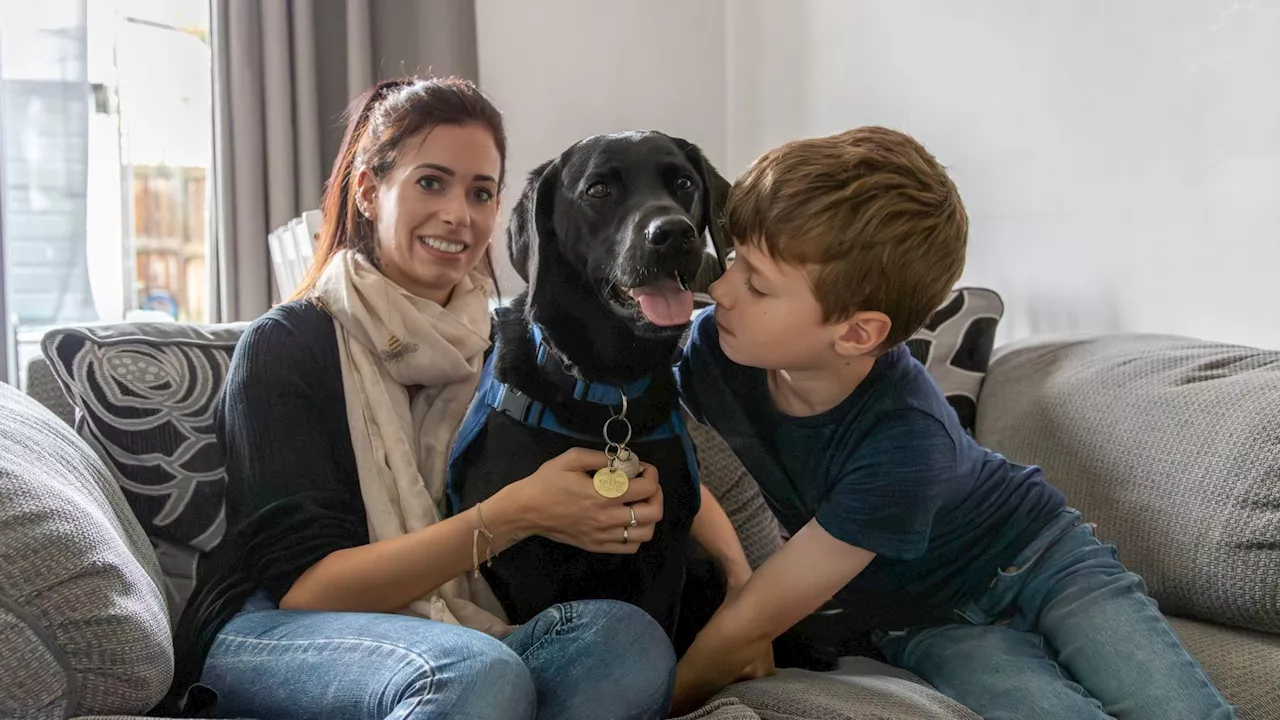 Mum of York boy with autism say support dog has been 'life-changing'