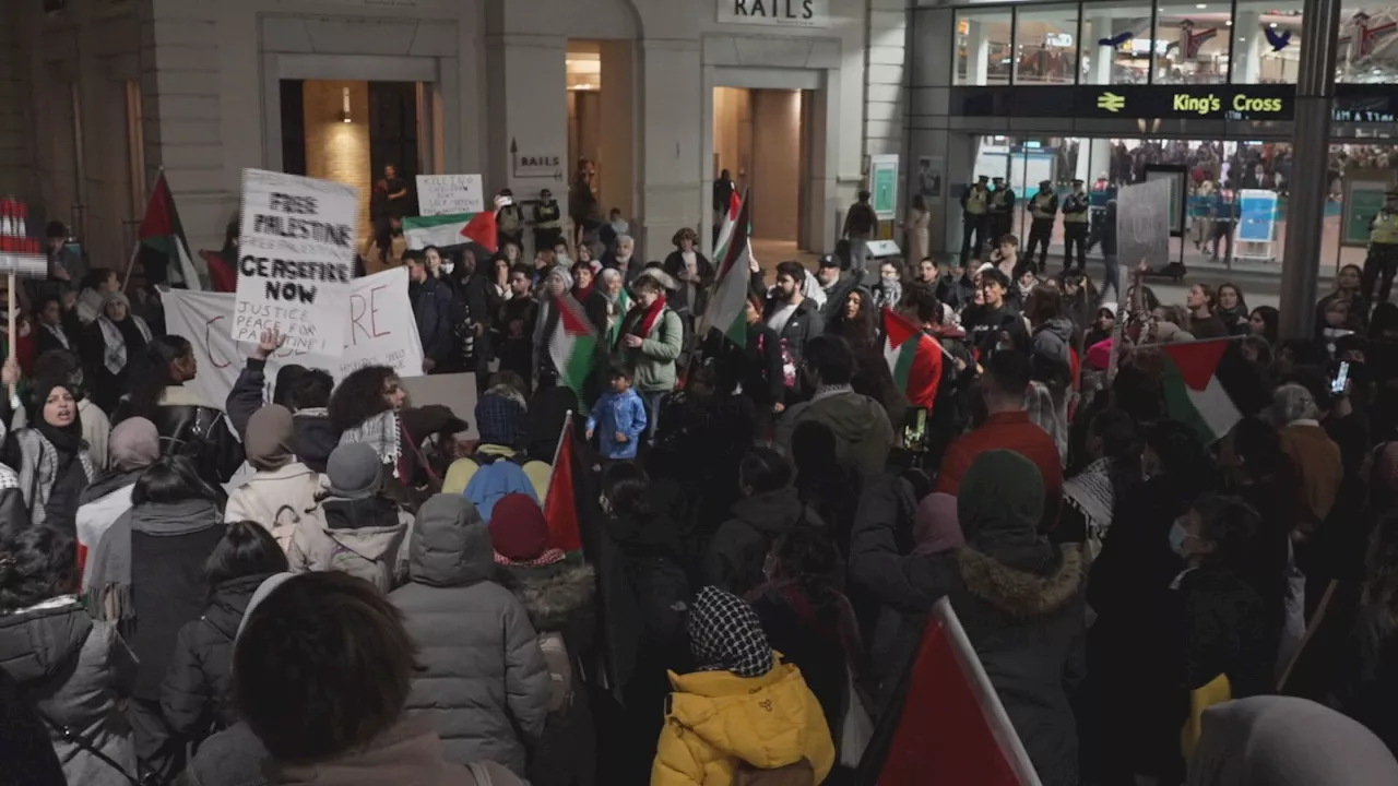 Two arrested at London King’s Cross pro-Palestinian sit-in after protest banned